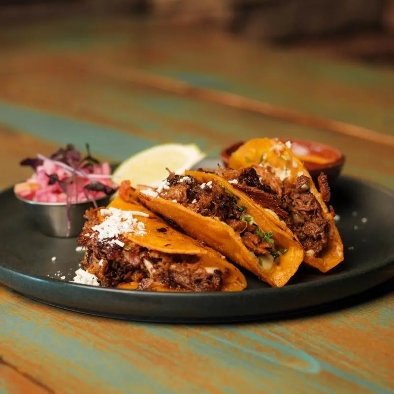 Delicious Birria Quesadilla at The Amigos in Edmonton, AB